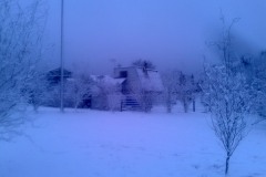 Zdjęcie-0154