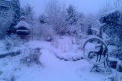 Zdjęcie-0158