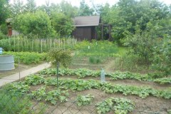 04-DSCN1194