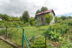 12-DSCN1206