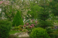 182-DSCN1103-001